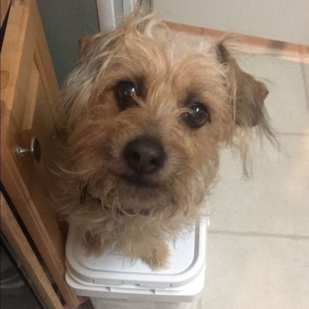 Meet your Posher, Audrey